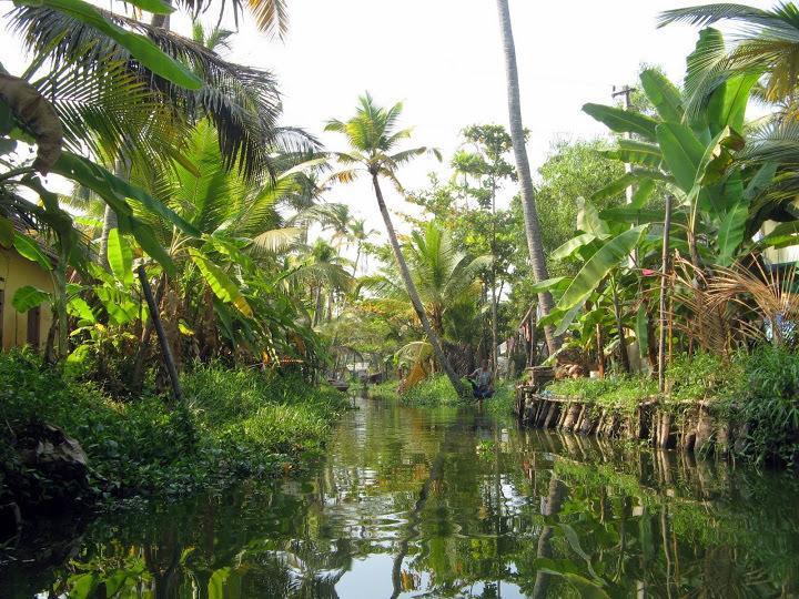 Alapatt Homestay Alappuzha Екстериор снимка